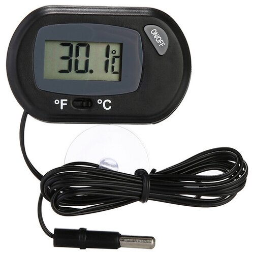 ���� ��������� ��� ���������, � �������� ��������, �� ���������, ������, ������ ������