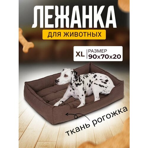 ���� ������� ��� ����� � ����� ������� � ��������� � ��������, ������ ������