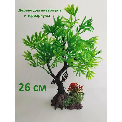 ���� ������������� �������� ��� ���������, ������ ������