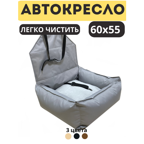 ���� ���������� ��� ��������� �������� ����� � �����, ������ ������