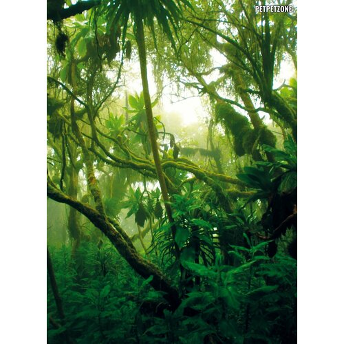 ���� ��� ��� ���������� 