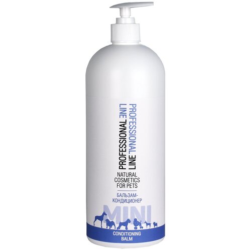 ���� �������-����������� ��� ����� � ����� ���� 1 ����, ������ ������