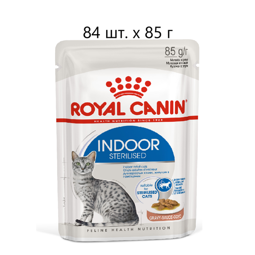       Royal Canin Indoor Sterilised,    , 84 .  85  (  )   -     , -  