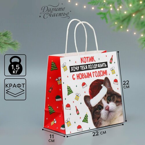 ���� ����� ���������� ������, 22 � 22 � 11 ��, ����� ���, ������ ������