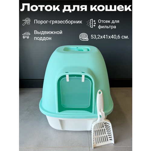 ���� �������� ����� ��� ����� 