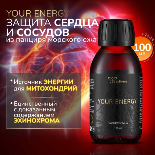    100 . (YOUR ENERGY).       ,   .   -     , -  