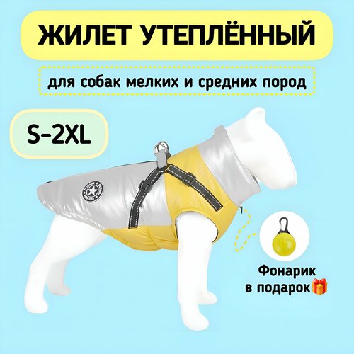 ���� ������ ��� ����� ������� �����, ����� ��� �����, ������/�����������, 2XL, ������ ������