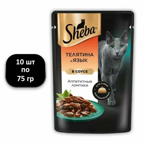  (10 .) 75 , Sheba,  ,  ,   ,      -     , -  