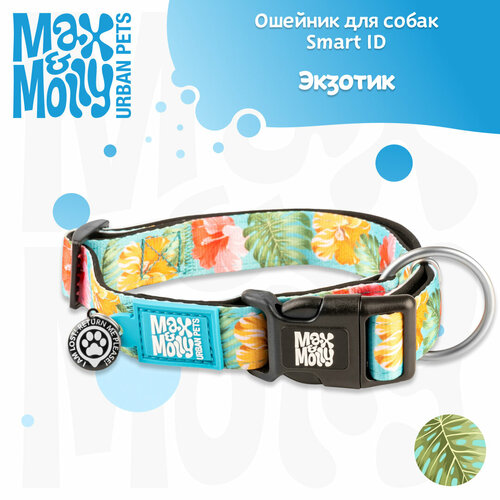 ���� ������� 