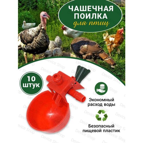 ���� �������� ������ ��� ��� ��������� ����� ��������� ������ ������� �������� 10 ��., ������ ������