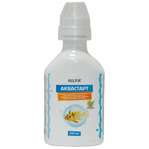 ���� ����������� ���� ���� 