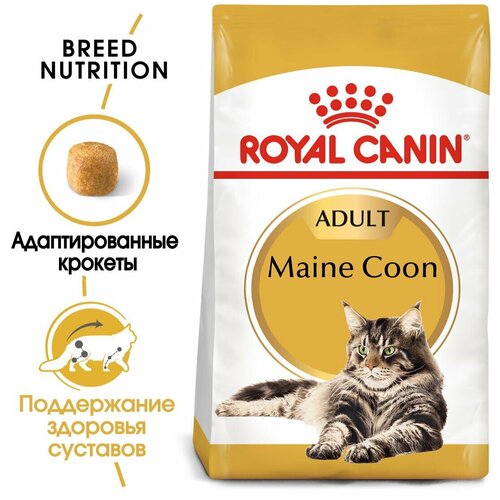    ROYAL CANIN MAINE COON ADULT     -  15  4   3    -     , -,   