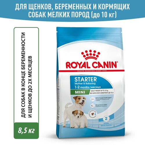        2- ,    , Royal Canin Mini Starter ( )  , 8,5    -     , -  