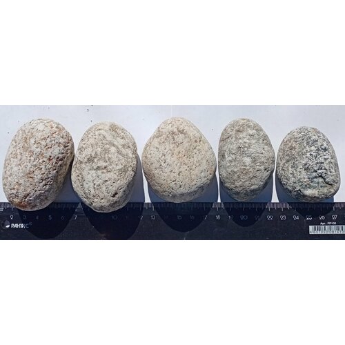 ���� ������ ��� ������ � ���������, ������ ������ 