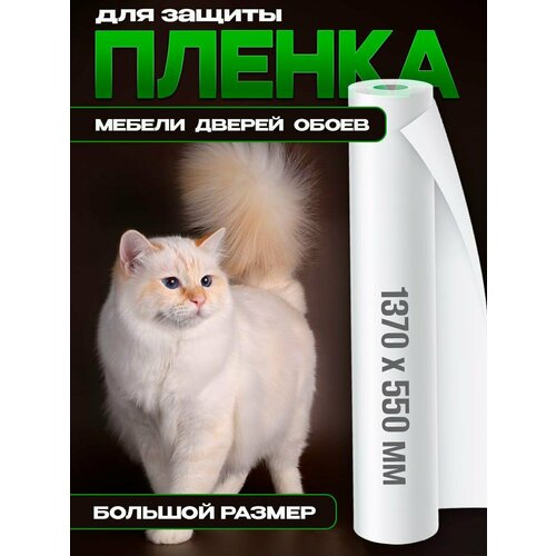 ���� �������� ������, �������� �� ������� ��������, ��� �����, �����, ������ ������ � ����� �� ����� � �� ������, ����� 137�55, ������ ������