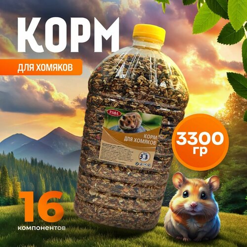 ���� ���� ��� ������� ���� ����� ����������� ���� 3,3 ��, ������ ������