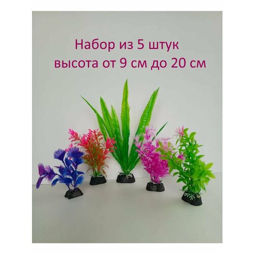 ���� �������� ��� ��������� �����, ������ ������