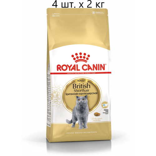      Royal Canin British Shorthair Adult,      , 4 .  2    -     , -  