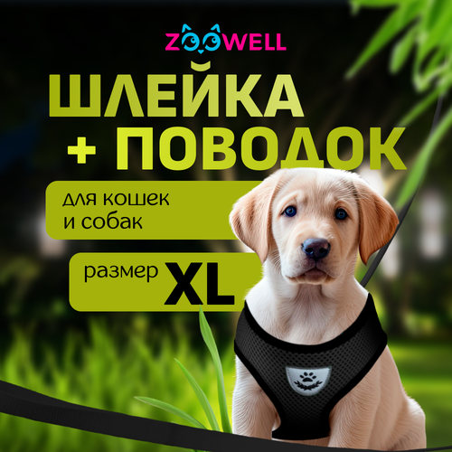       ZooWell ,  XL    -     , -  