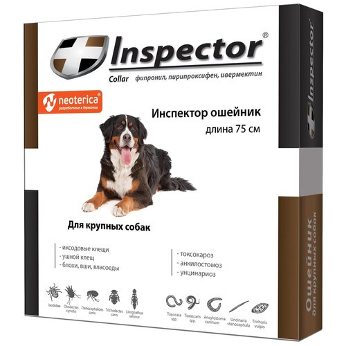  Inspector     75 , 1 