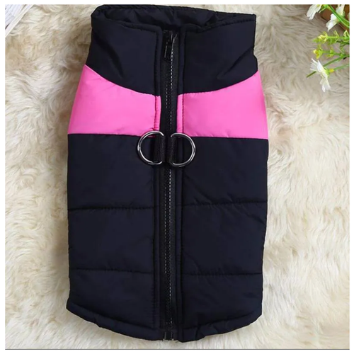 ���� ����� - ������ ��������� , ������ ��� �������� L, ������ ������