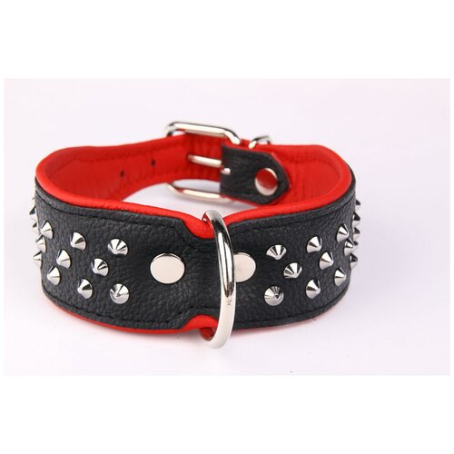 ���� ������� ��� ����� ZOOLESZCZ 