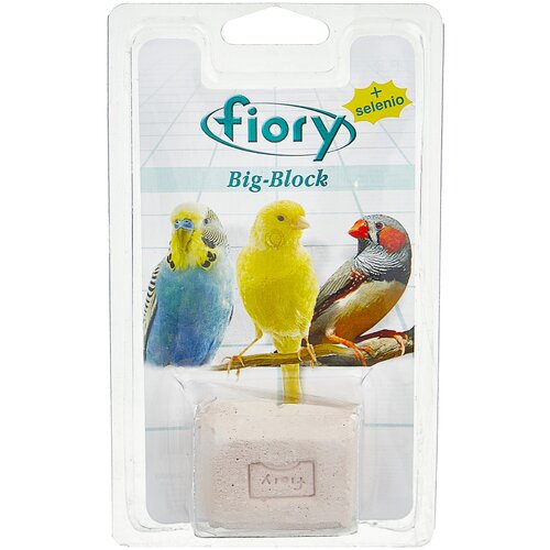    Fiory Big-Block   , 1 .  .   -     , -  