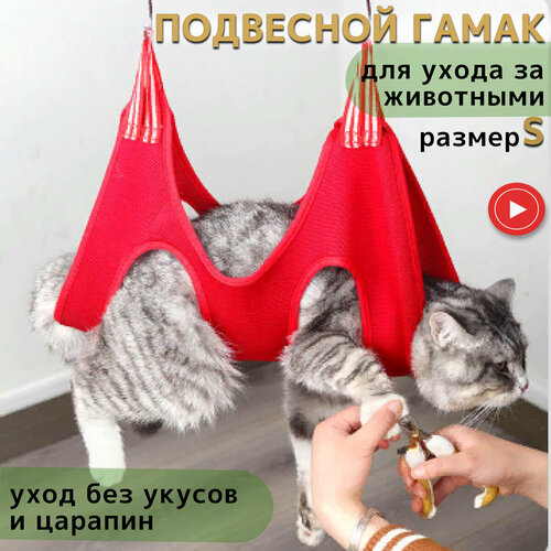 ���� ��������� ����� ��� �������� �������� ��������, ����� ��� ������� ������ �� �������, ������ S, �������, ������ ������