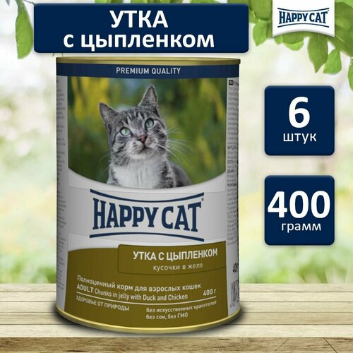      Happy Cat ,  (6  400)   -     , -  