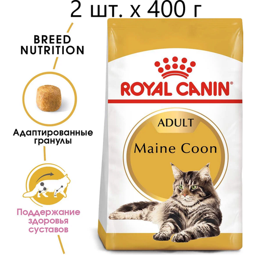      Royal Canin Maine Coon Adult,     -,  15 , 2 .  400    -     , -  