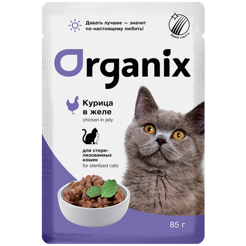  Organix         35963, 0,085 