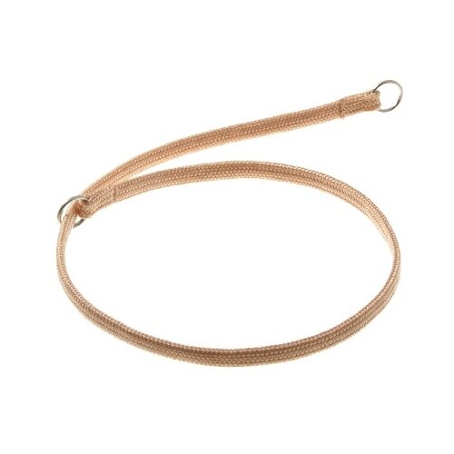 ���� ������������� ������� ZooOne �����-����� � 2-� �������� 7 ��, ����� �������� 65 ��, ������ ��� 65 ��, 1 ��., �������, XXL, ������ ������