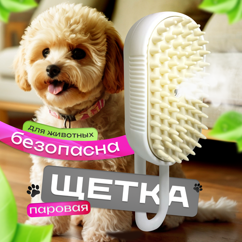 ���� ������� ����� �������� ������� ��������� ��� ����� � �����, ������ ������