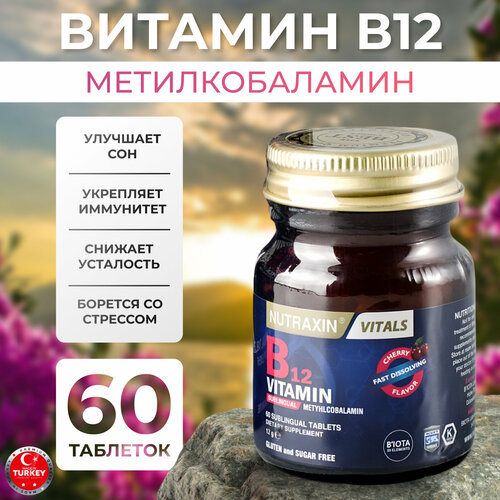   B12 12    -     , -  