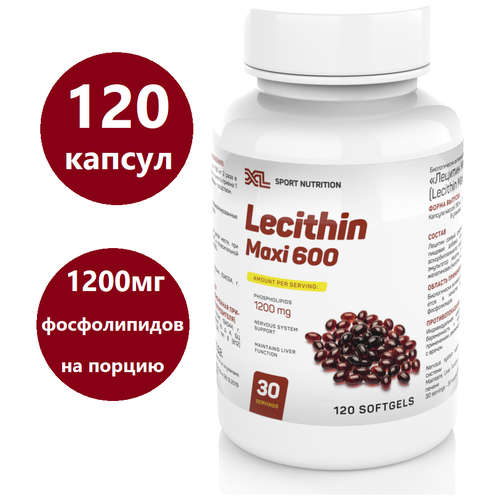    XL Lecithin Maxi, 120 ,     -     , -  