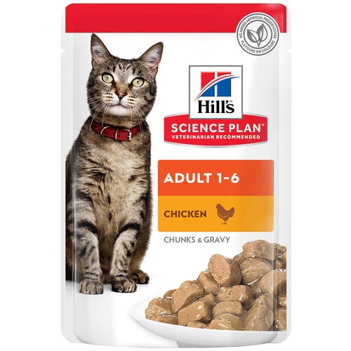   Hill's Science Plan Adult Chicken ( )  ,  , 85  x 12    -     , -,   