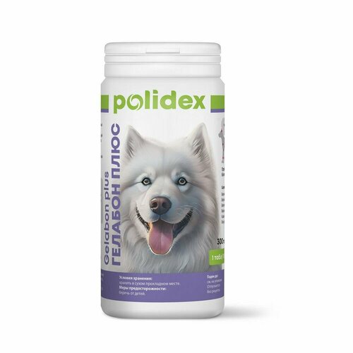    Polidex Gelabon plus , 300 .   -     , -  