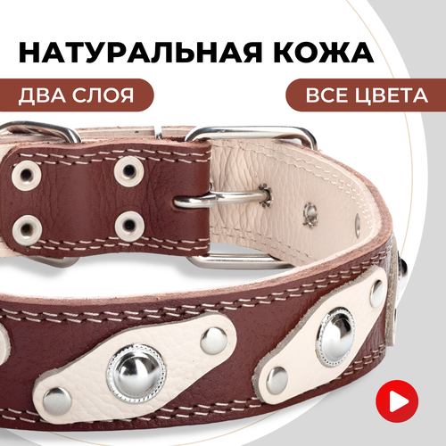 ���� ������� ������� ��� ������� � ������� �����, ��� ������ ������� �����, �����������, ������ ������