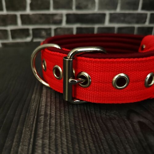 ���� ������� ��� ����� ������� � ������� �����. ������ 4.5 ��. ������� ���������. ������ 30-42 ��., ������ ������