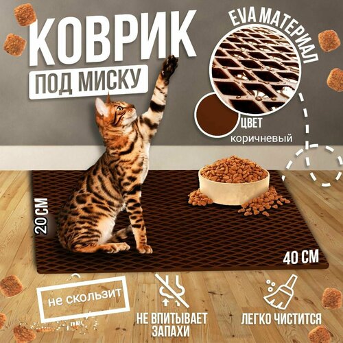 ���� ������ ��� ����� ���������� 40 � 20 ��., ������ ������