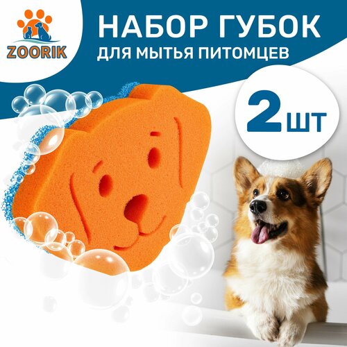 ���� ����� ����� ��� ����� �������� / ZOORIK / ����� / 