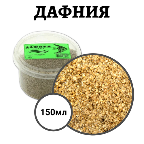 ���� ���� ��� ��� � ������� ������������ ������ 150��, ������ ������