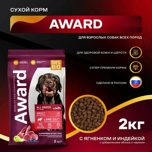    AWARD               2   -     , -  