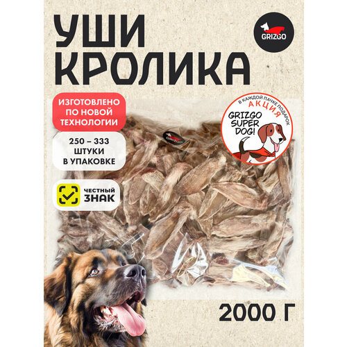 ���� ��� ��� ������� ������� 2000 �����, ������ ������