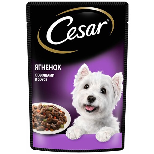      Cesar ,   1 .  1 .  85    -     , -  