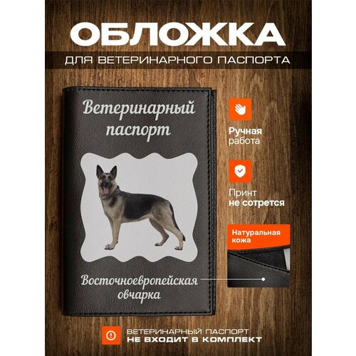 ���� ������� �� ������������ ������� � ������� ������������������� �������, ������ ������