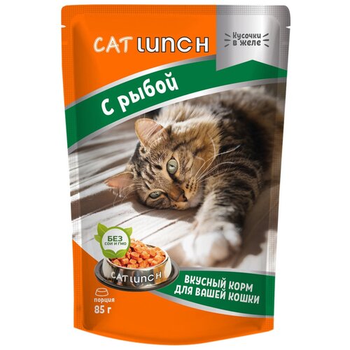    Cat Lunch        85*24   -     , -,   