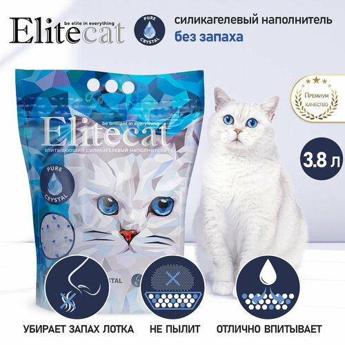          ELITECAT 