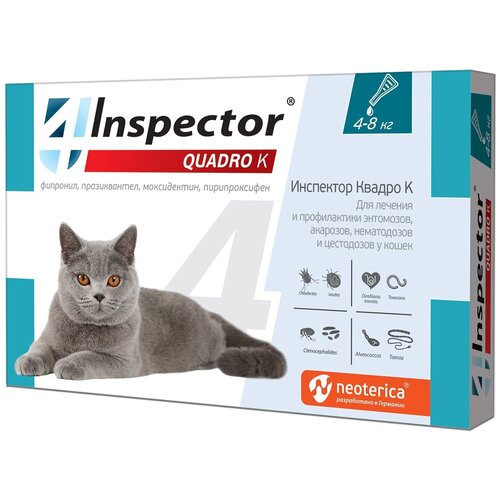  Inspector      Quadro   4  8    1 .  ., 1 .   -     , -  