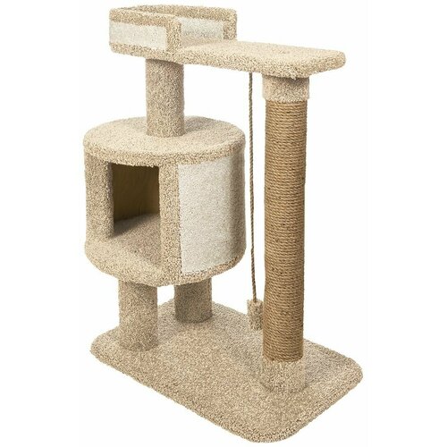 ���� ������� �������� ��� ����� 